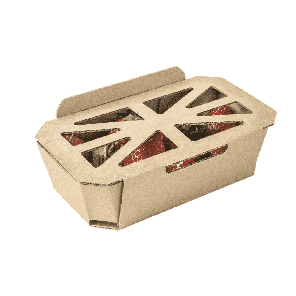 VDH Packaging Concept - Kartonnen Verpakking voor Aardbeien en Bessen