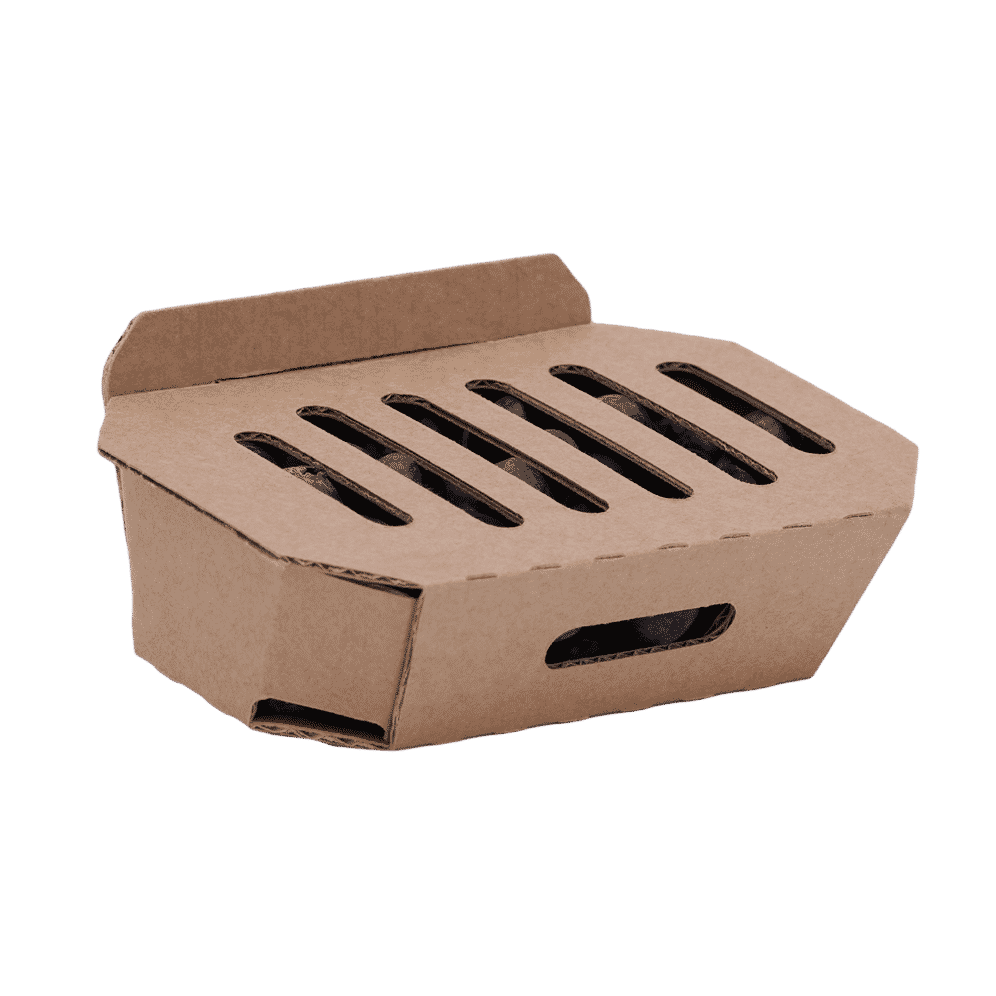 VDH Packaging Concept - Kartonnen Verpakking voor Aardbeien en Bessen