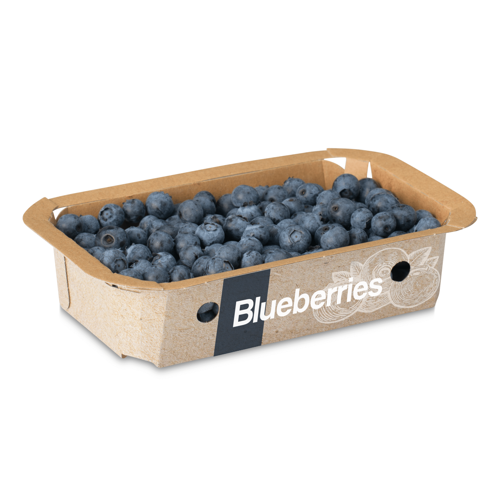 VDH Packaging Concept - Kartonnen verpakking voor Blauwe Bessen / Blueberries