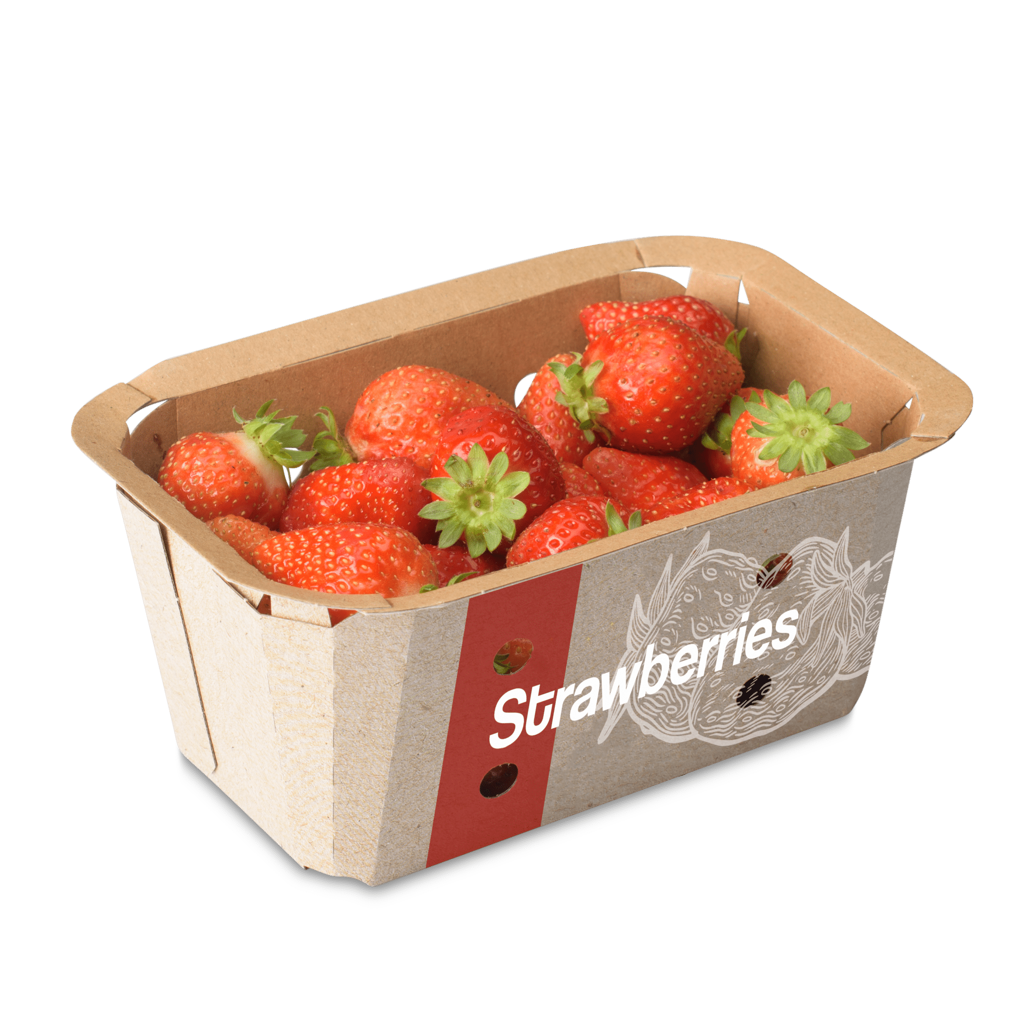 VDH Packaging Concept - Kartonnen verpakking voor Aardbeien